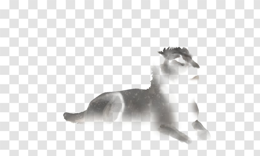 Whiskers Lion Felidae Dog Cat - Mid-cover Transparent PNG
