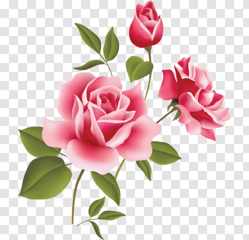 Rose Pink Clip Art - Cut Flowers - Picture Clipart Transparent PNG