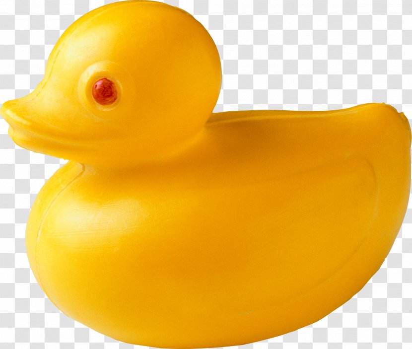 Rubber Duck Toy System Transparent PNG