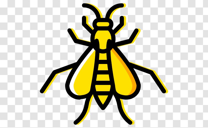 Western Honey Bee Hornet Insect Wasp Transparent PNG