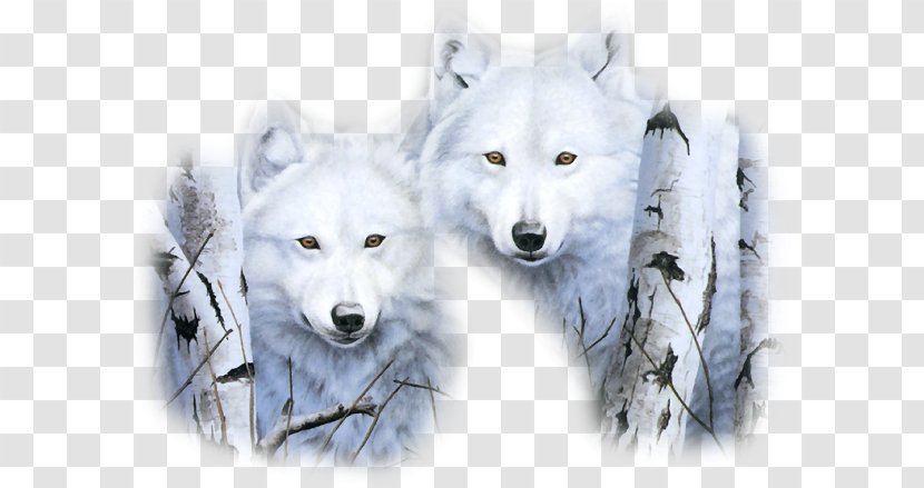 New Year's Day Gray Wolf Eve Wicca - Year - Christmas Transparent PNG