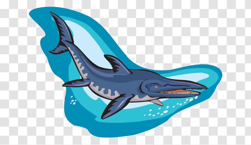 Common Bottlenose Dolphin Ichthyosaurus Dinosaur Fossil - Ichthyosaur - FOSSIL Transparent PNG