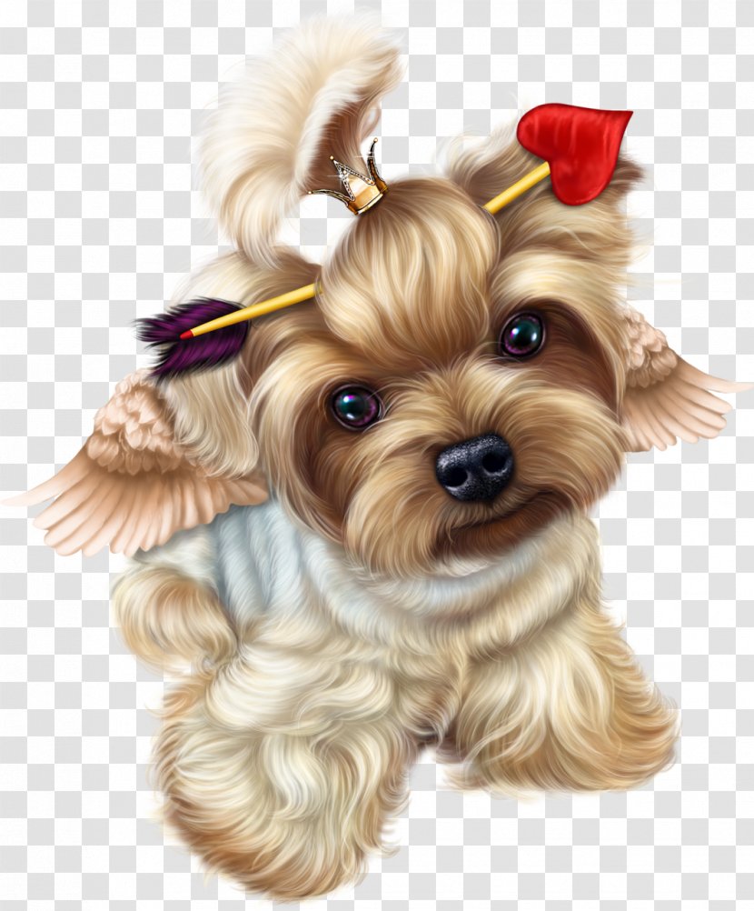 Yorkshire Terrier Puppy Valentine's Day Vinegar Valentines - Pet Transparent PNG