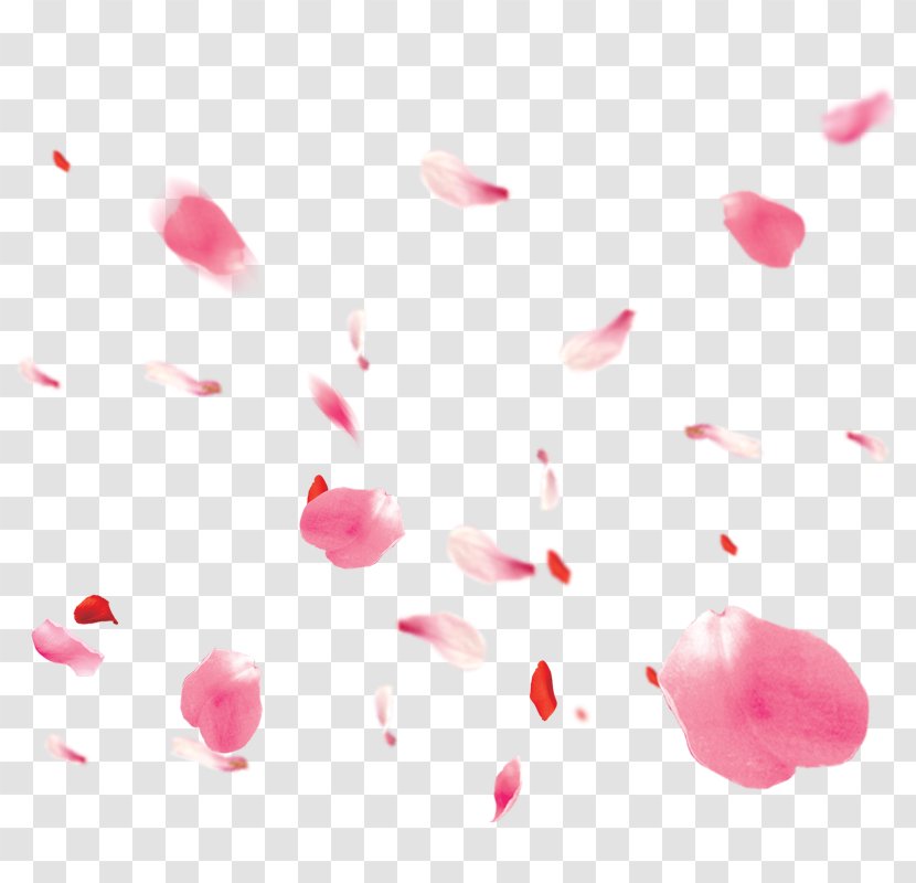 Petal Flower Image Download - Magenta - Simple Pink Rose Transparent PNG