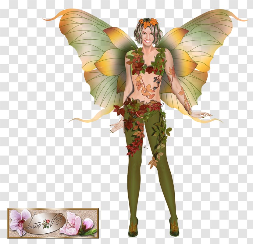 Fairy Costume Design Figurine Organism Transparent PNG