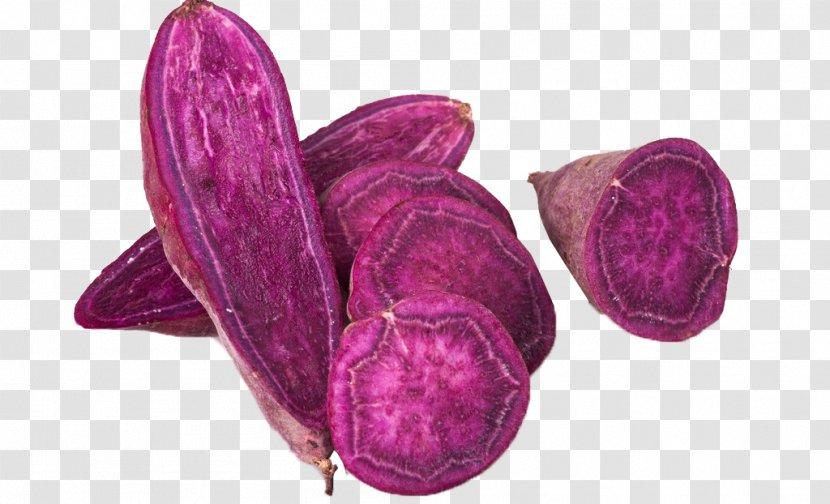 Sweet Potato Dioscorea Alata Purple Vegetable Food Transparent PNG