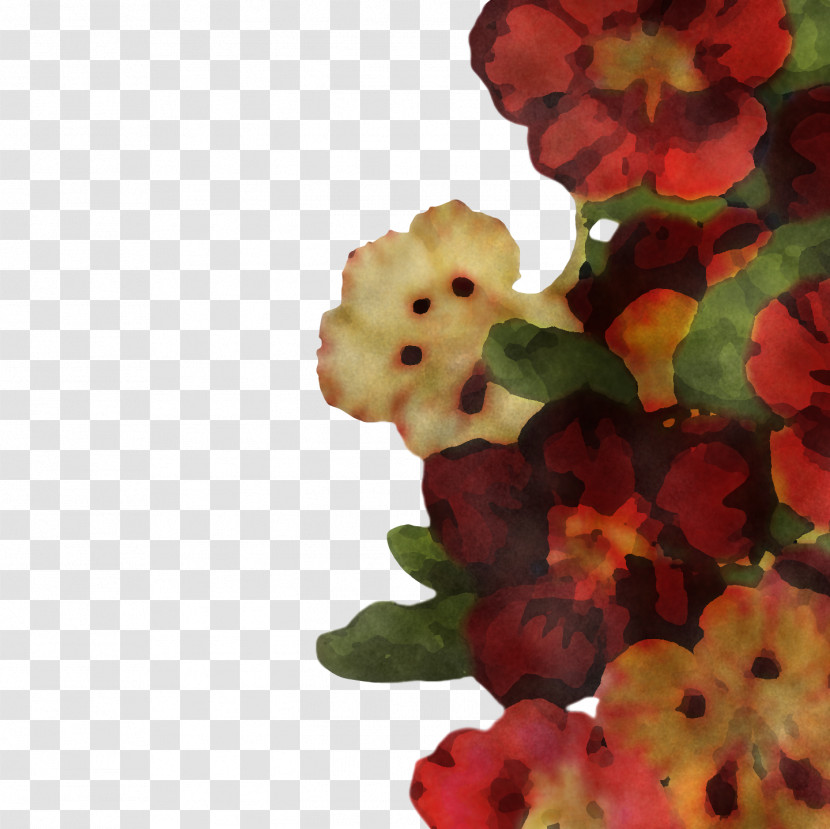 Floral Design Transparent PNG