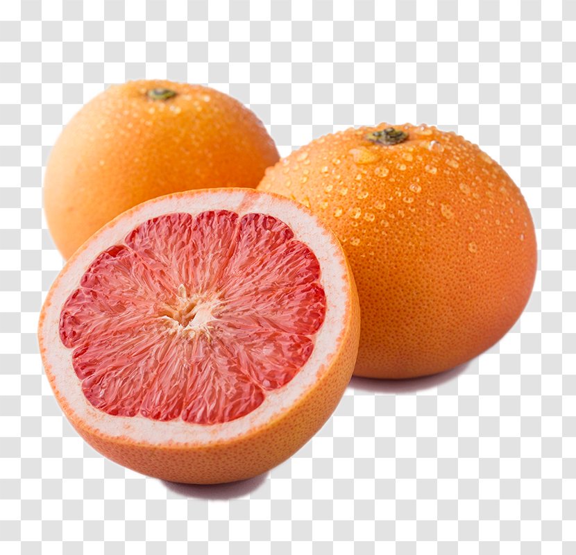 Grapefruit Blood Orange Tangelo Tangerine Rangpur - Citrus - Three Transparent PNG