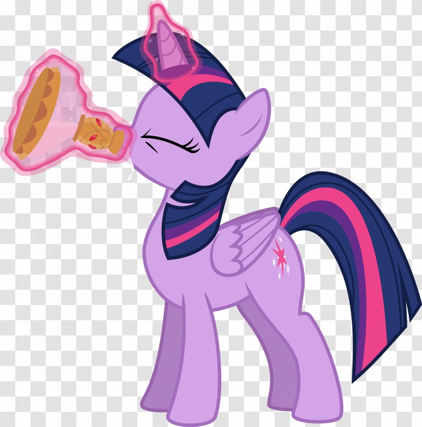 Twilight Sparkle Princess Cadance Pinkie Pie Rainbow Dash Fluttershy - Art Transparent PNG