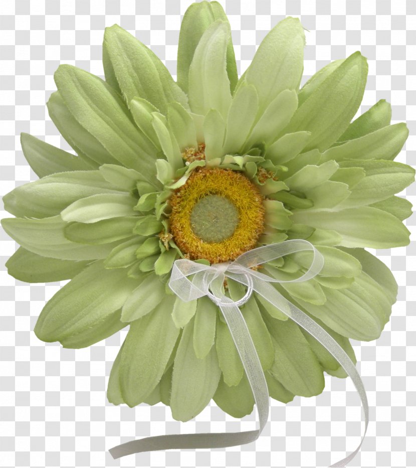 Common Daisy Flower Image Painting - Watercolor Transparent PNG