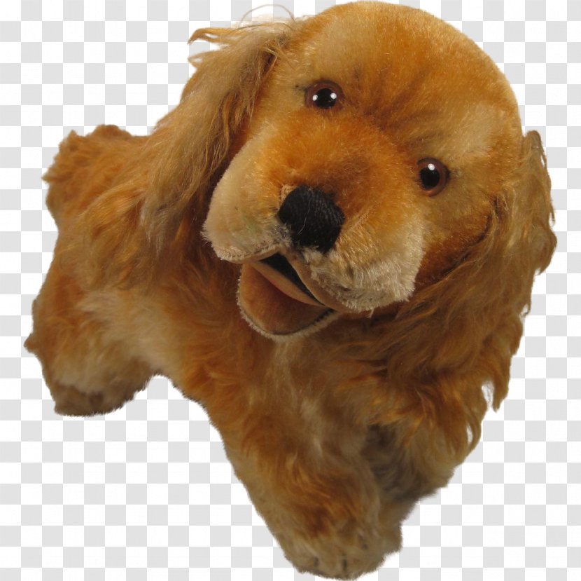 American Cocker Spaniel Cockapoo English Cavapoo Toy Poodle - Dog Breed Transparent PNG