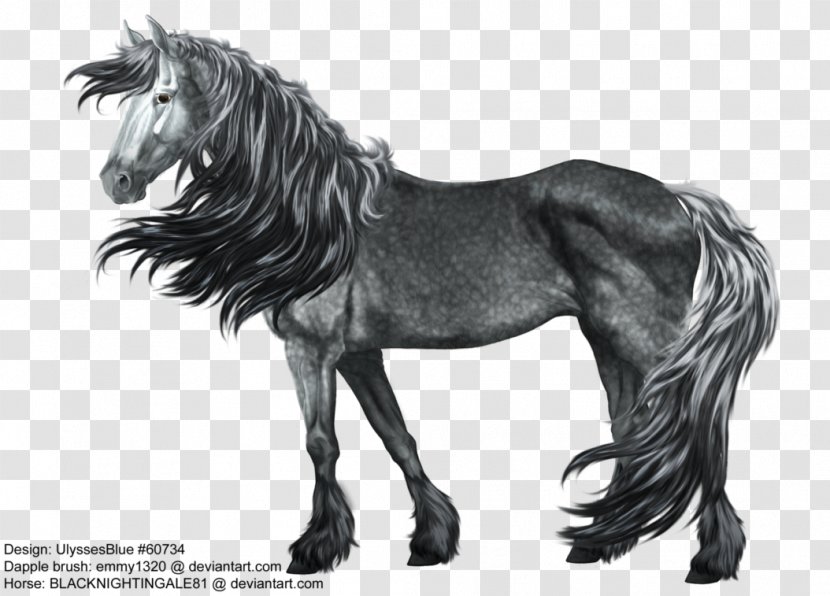 Mustang Stallion Thoroughbred Gray Andalusian Horse - Pony - Dark Grey Transparent PNG