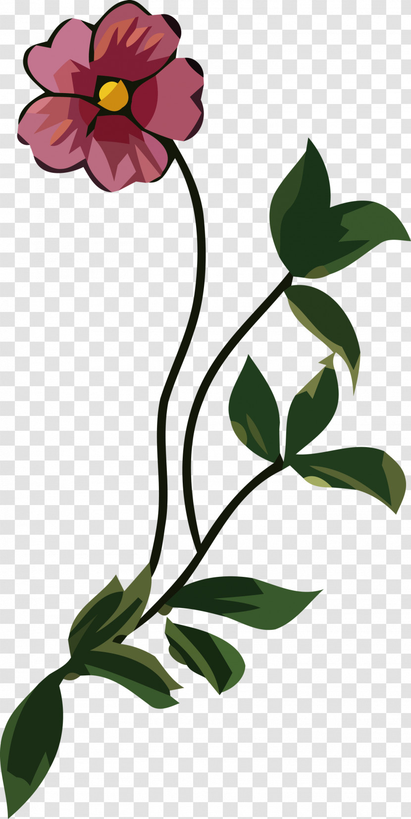 Floral Design Transparent PNG