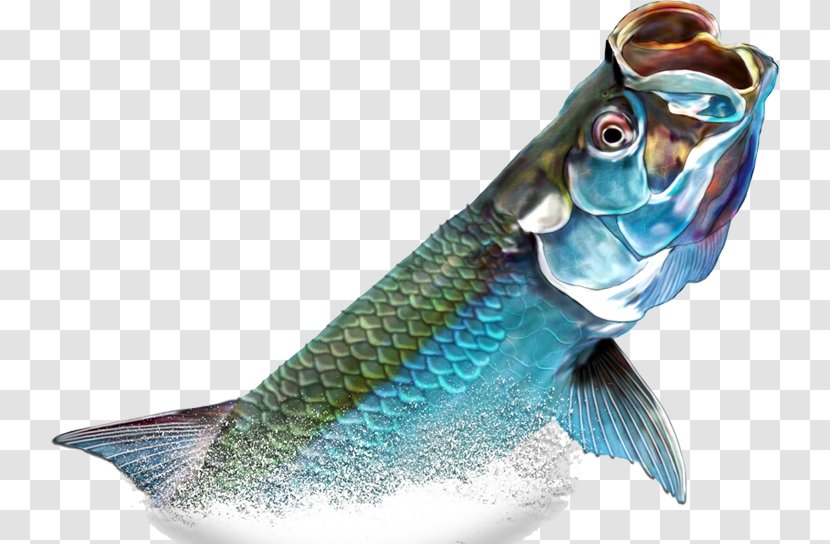 Atlantic Tarpon Painting Photography Illustration - Hand-painted Blue Fish Transparent PNG