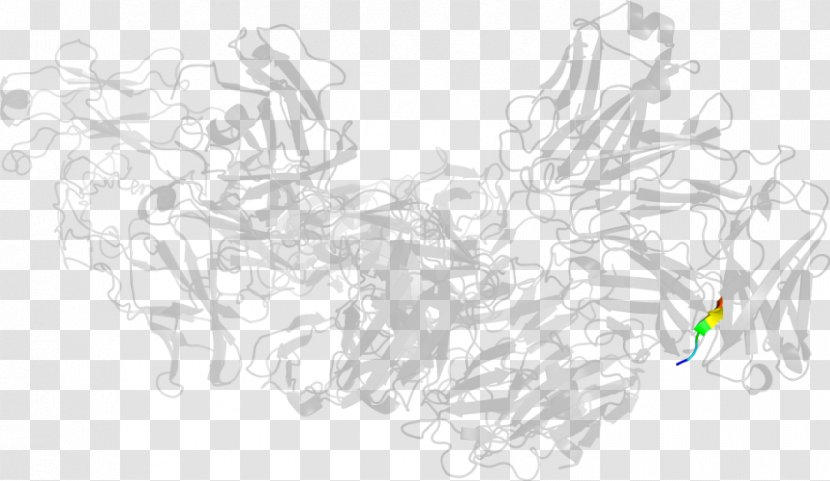 Line Art Graphic Design Sketch - Black And White Transparent PNG