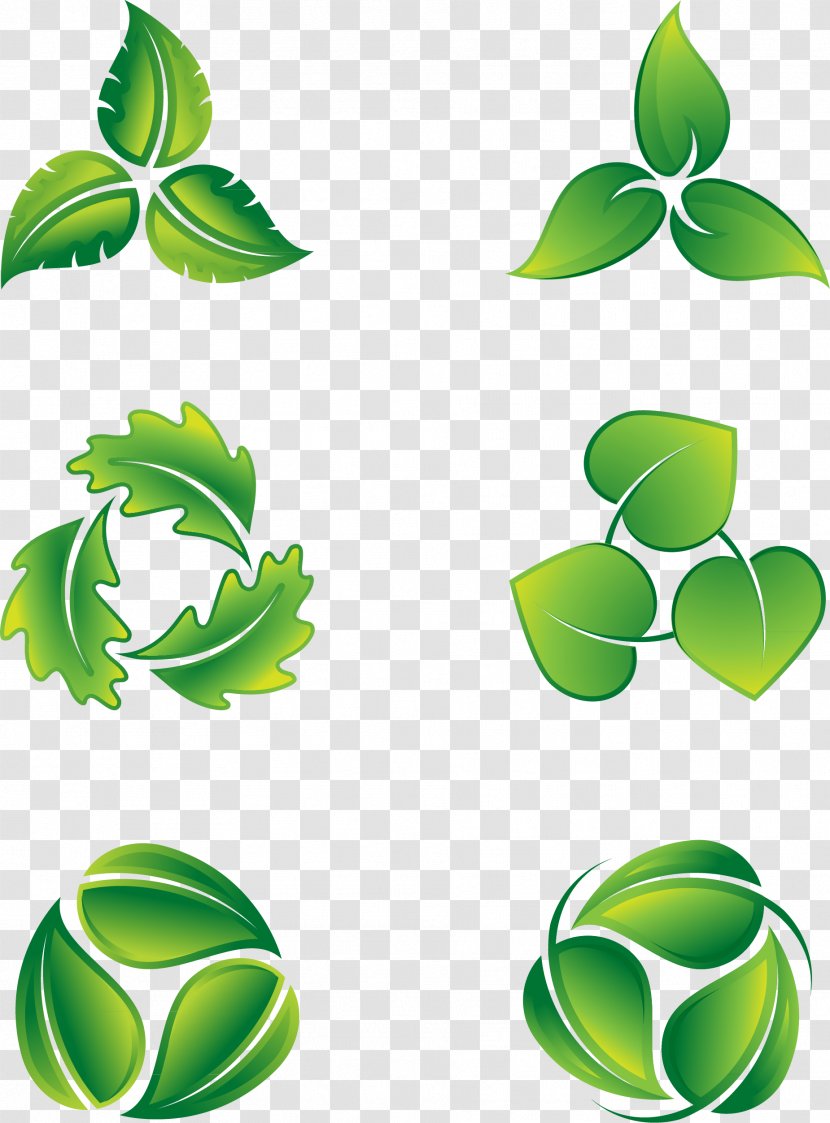 Leaf Logo Icon - Plant - Vector Green Leaves Eco-icon Transparent PNG