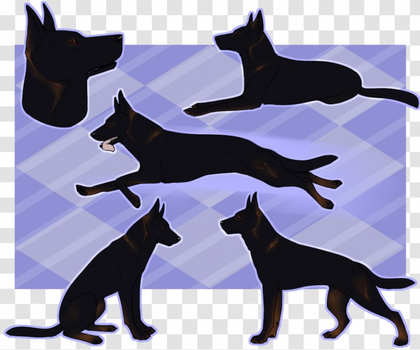 Dog Breed Cat Art Obedience Trial - Small To Medium Sized Cats Transparent PNG