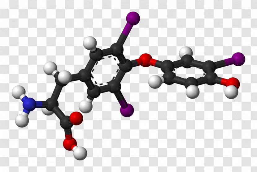 Thyroid Hormones Triiodothyronine Basal Metabolic Rate - Cell - Otherwise Transparent PNG