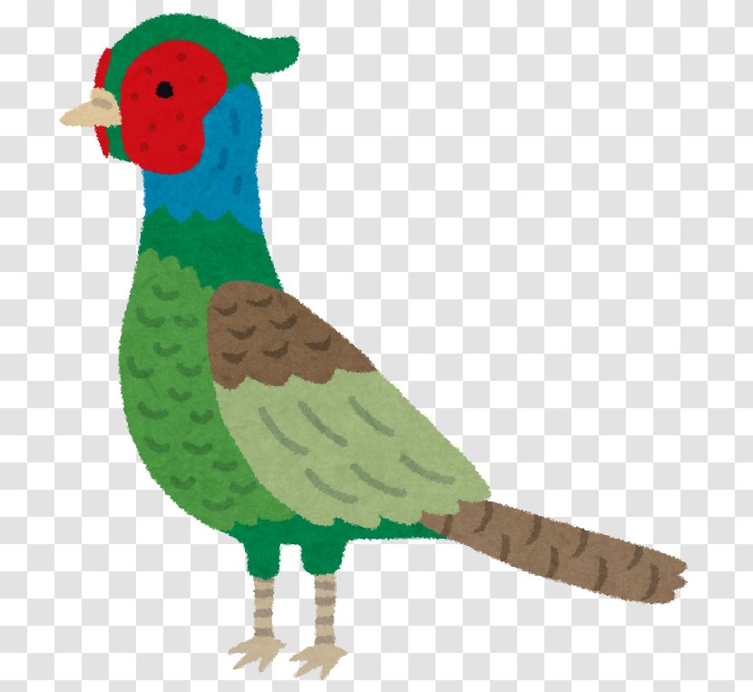 Green Pheasant Sanda Momotarō Okayama Prefecture Phasianidae - Beak - Wing Transparent PNG