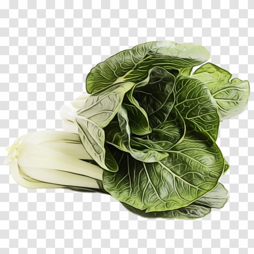 Vegetable Leaf Cabbage Collard Greens - Wild Savoy Transparent PNG