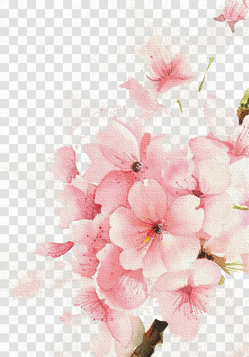 Watercolour Flowers Watercolor: Watercolor Painting Drawing - Printing - Cherry Blossoms Transparent PNG