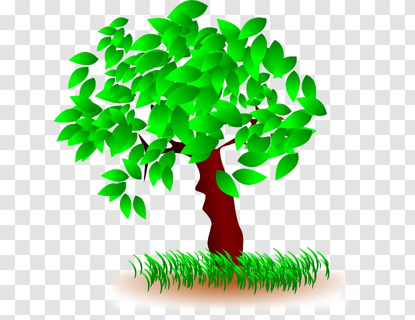 Arbor Day - Leaf - Flowerpot Transparent PNG