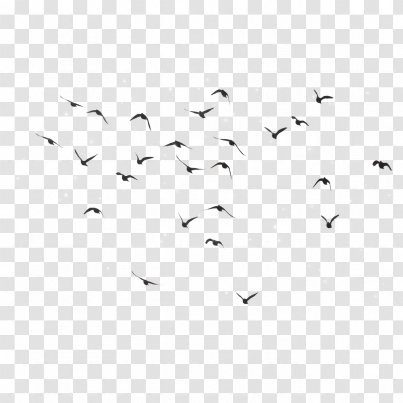 Bird Flight Clip Art Flock - White Transparent PNG