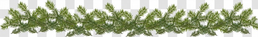 Ded Moroz New Year Costume Clip Art - Branch - Spruce Transparent PNG