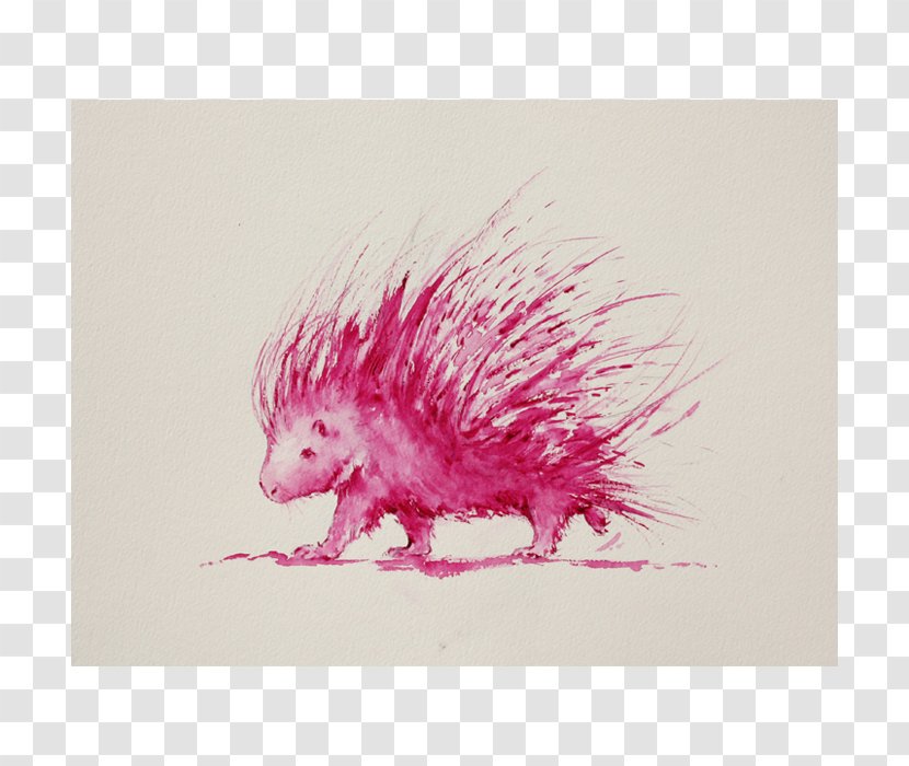 Hedgehog Printmaking Edition African Wild Dog Watercolor Painting - Snowplow Transparent PNG