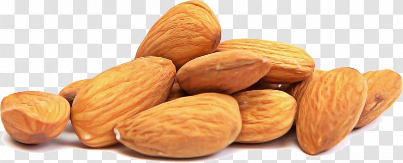 Nut Food Almond Nuts & Seeds Ingredient - Peanut - Dried Fruit Plant Transparent PNG