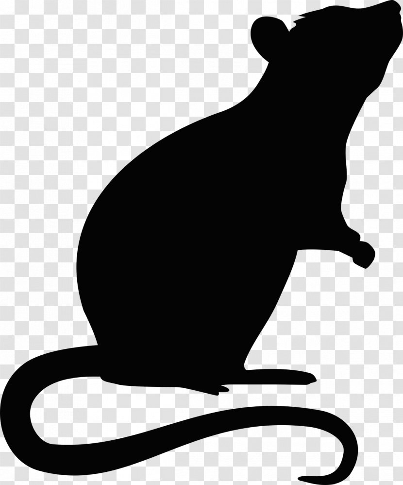 Rat Mouse Rodent Transparent PNG