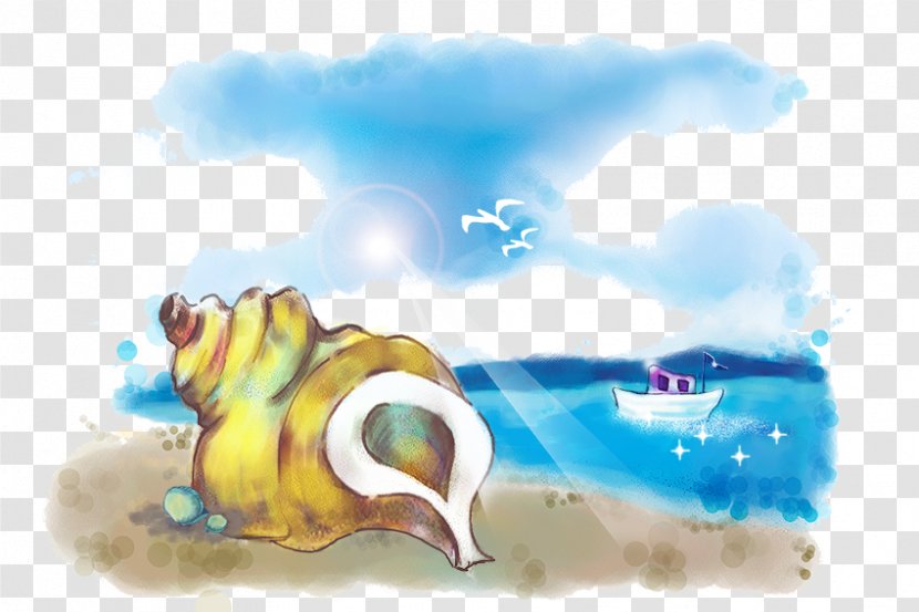 Fundal Download Computer File - Conch Transparent PNG