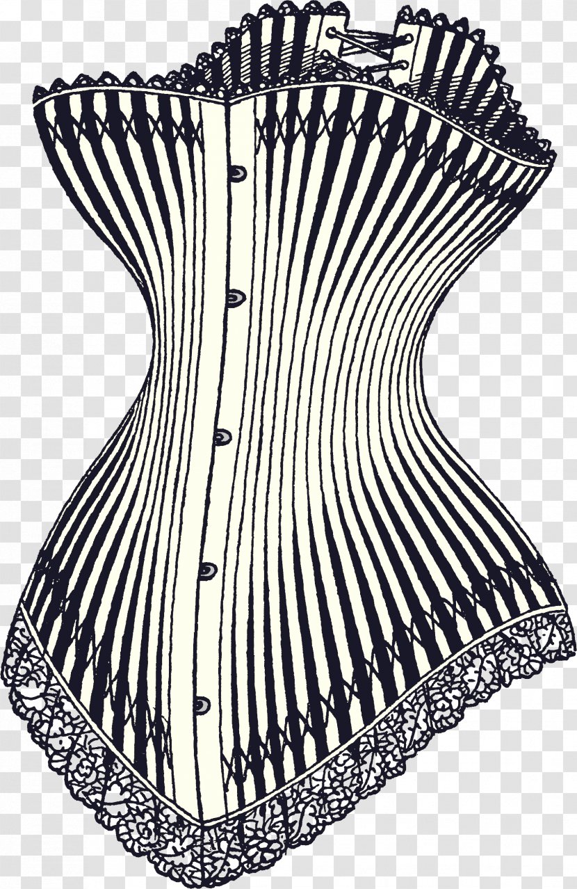 Corset Controversy Hourglass History Of Corsets Bone - Tree Transparent PNG