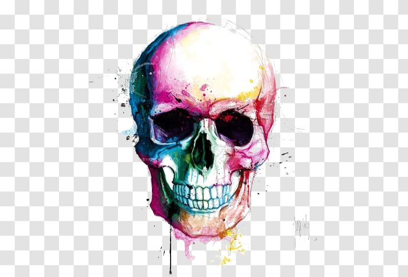 Skull Calavera Drawing Color Painting - Bone Transparent PNG