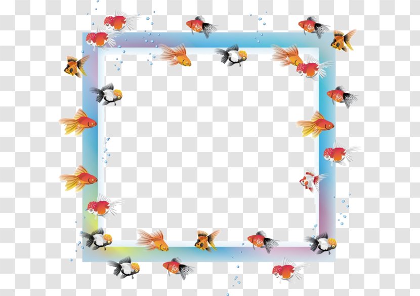 Picture Frame - Goldfish - Gilding Transparent PNG