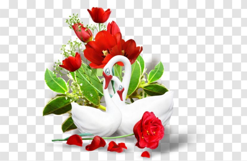Garden Roses Startpage Ixquick Evening Google Images - Afternoon - Still Life Photography Transparent PNG