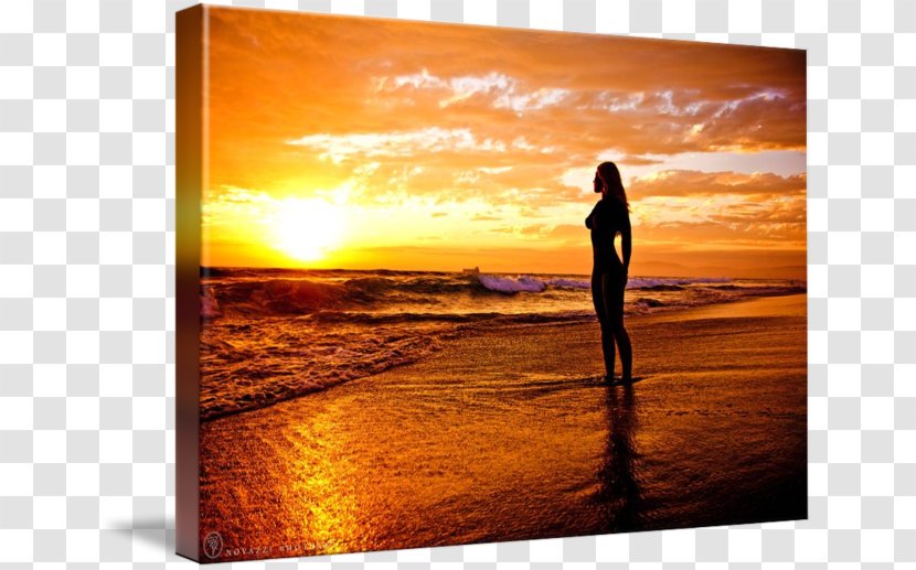 Silhouette Landscape Painting Photography - Cartoon Transparent PNG