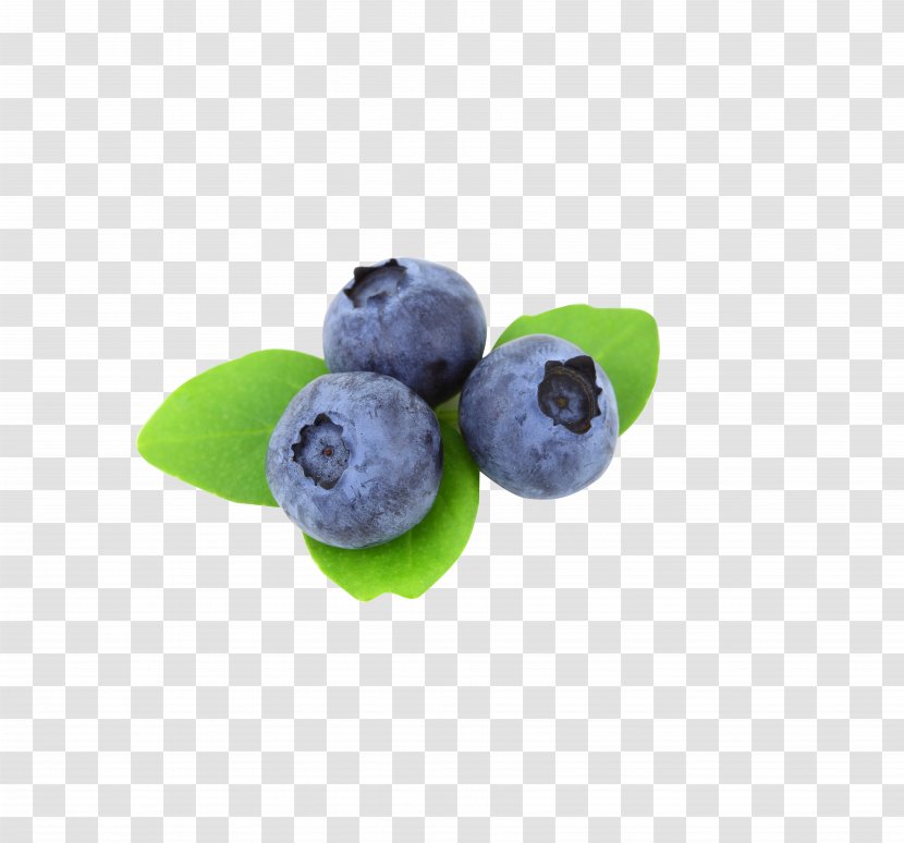 Blueberry Blackberry Fruit - Leaf - Eye Protection Transparent PNG