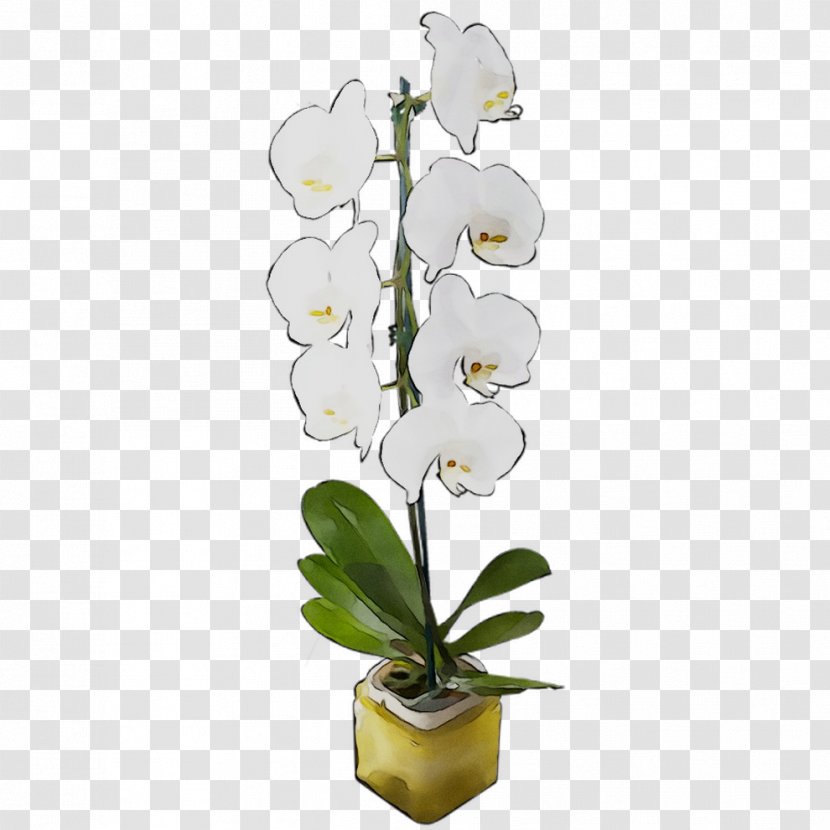 Moth Orchids Cut Flowers Floral Design Artificial Flower Transparent PNG