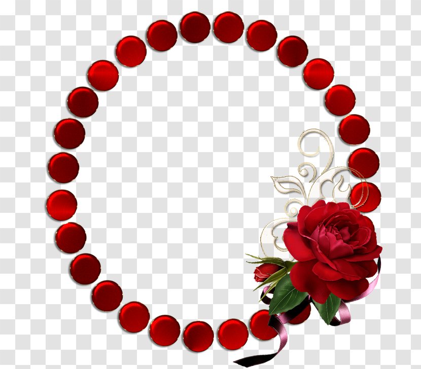 Red Circle - Hue - Petal Plant Transparent PNG