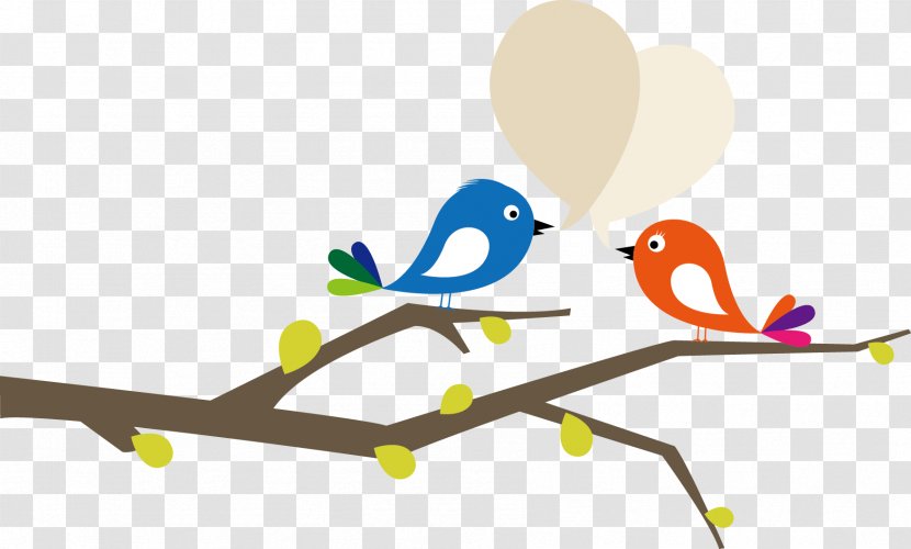 Lovebird Cartoon Clip Art - Tree - Vector Birds Transparent PNG