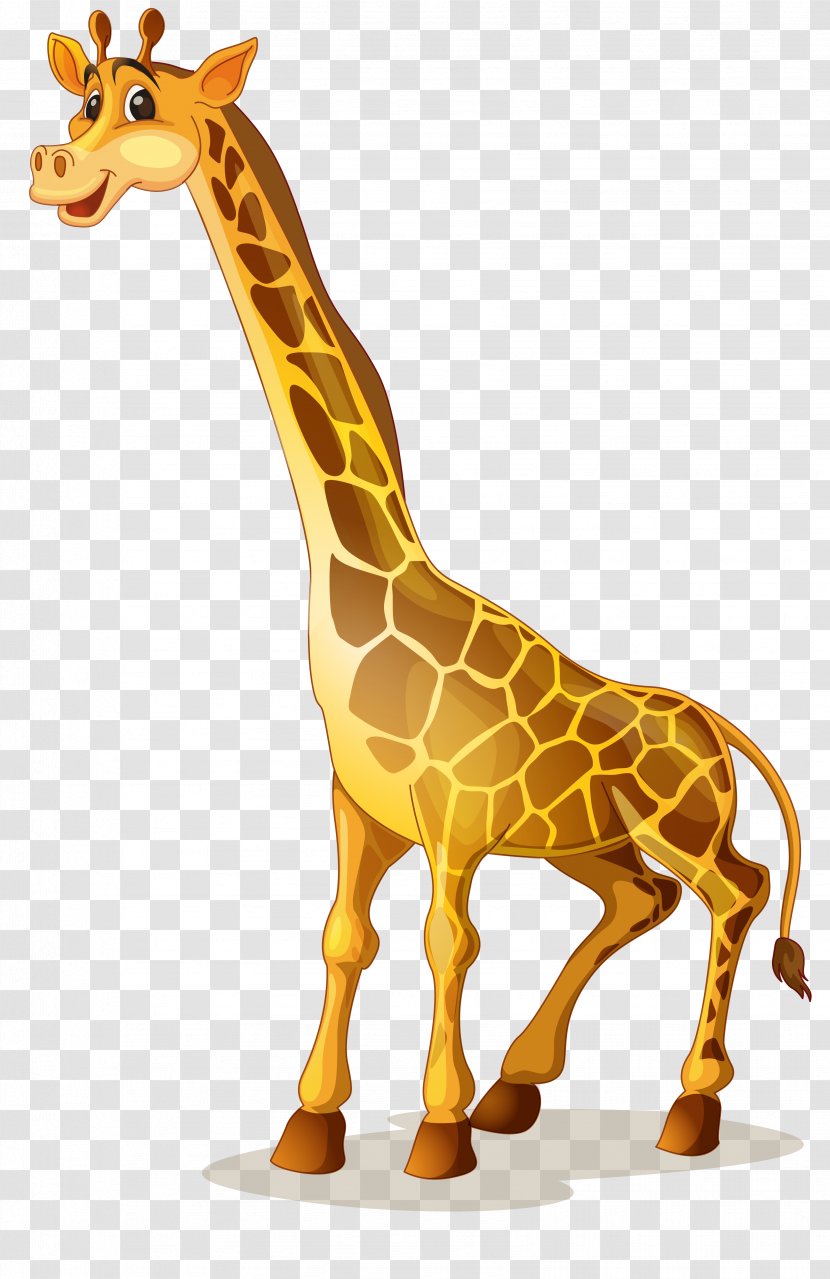 Giraffe Cartoon Illustration - Mammal Transparent PNG