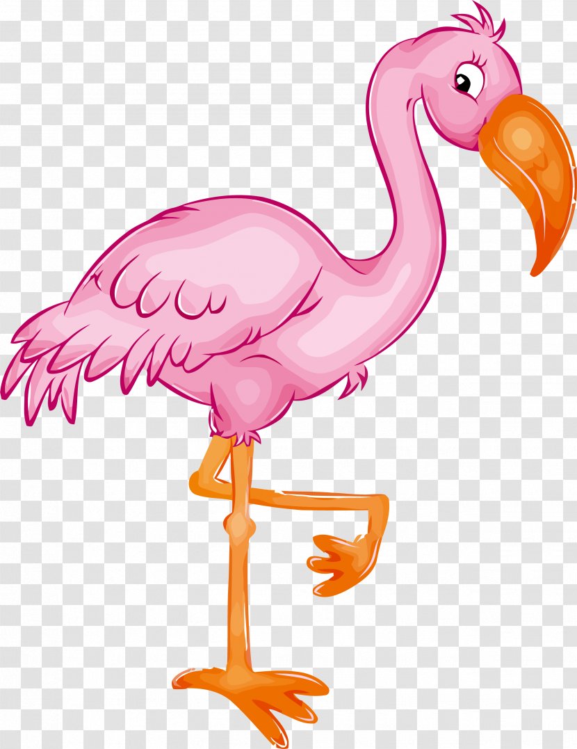 Flamingo - Pink - Animal Figure Water Bird Transparent PNG