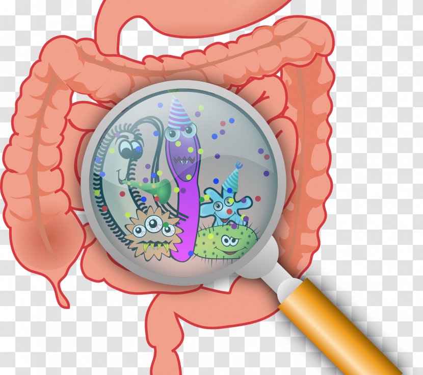 Diarrhea Inflammatory Bowel Disease Gastrointestinal Tract Small Intestinal Bacterial Overgrowth - Flower - Pathogen Sterilized Bacteria Transparent PNG