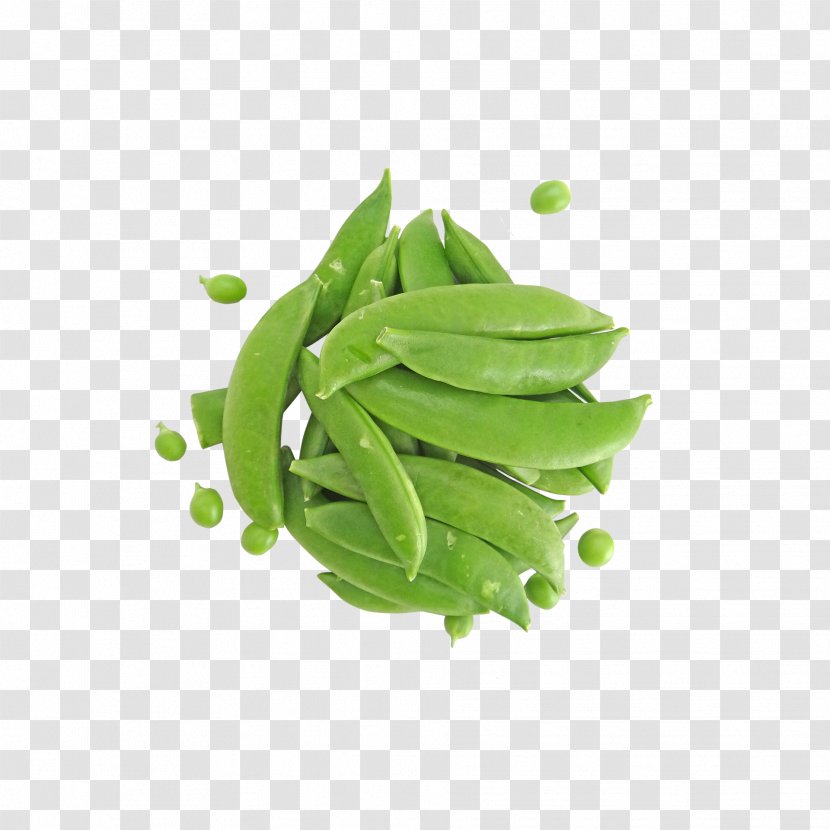 Snow Pea Snap Nutrition Cultivar Sugar - Lima Bean - Peas Transparent PNG