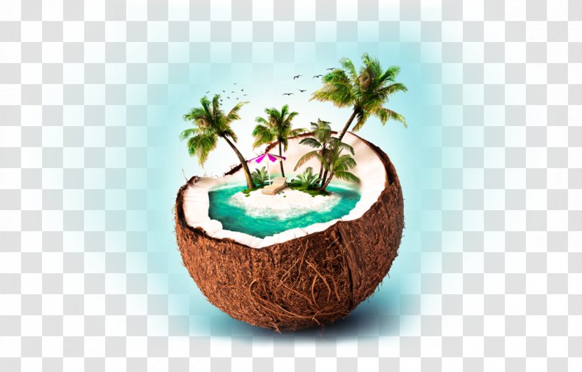 Package Tour Siargao Travel Agent Website - Coconut Transparent PNG