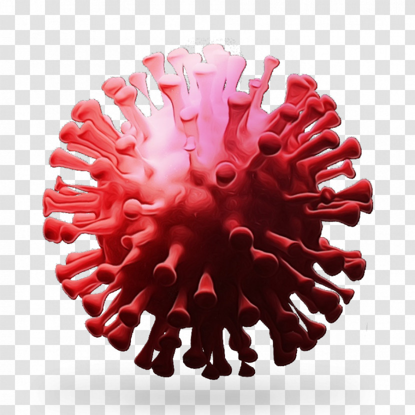 Coronavirus 2019–20 Coronavirus Pandemic All India Institute Of Medical Sciences, New Delhi Coronavirus Disease 2019 Transparent PNG