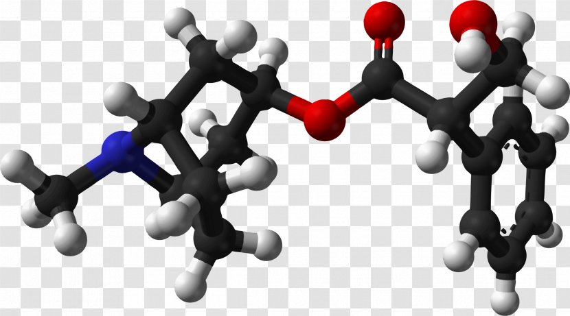 Belladonna Mandrake Atropine Bittersweet Poison - Joint - Molecule Transparent PNG