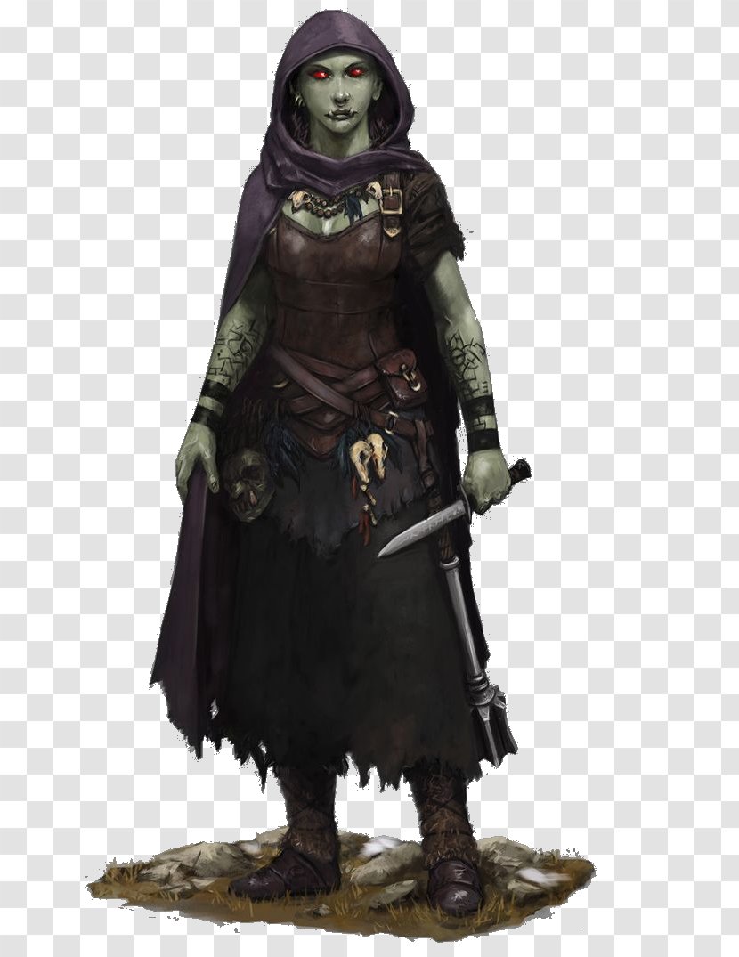 Dungeons & Dragons Pathfinder Roleplaying Game Half-orc Rogue - Fantasy - Dwarf Transparent PNG