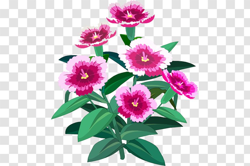 Peony Floral Design Herbaceous Plant Annual Magenta - Flowering Transparent PNG
